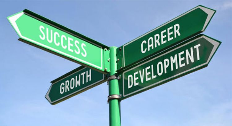 Career Development Plan